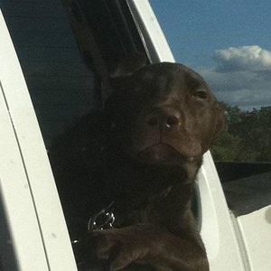 Meet your Posher, Mark